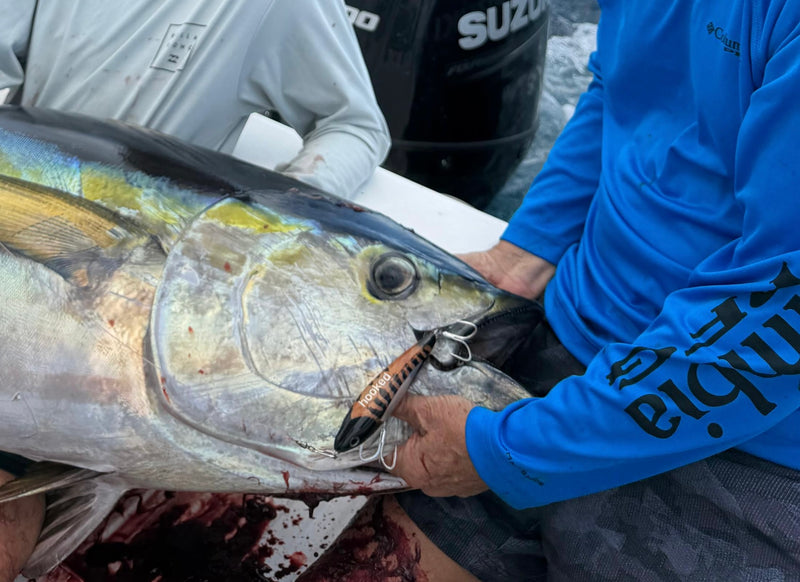 Venom | Long-Cast Amargo Cedar Surface Lure