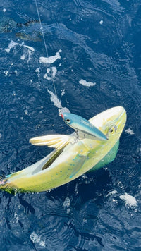 Elite | Handcrafted Amargo Cedar Surface Lure